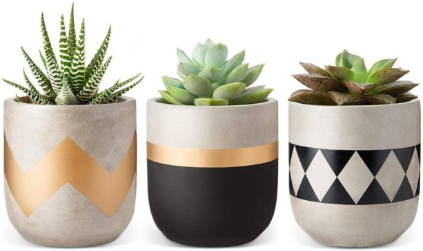 Mkono cement succulent planter set of 3